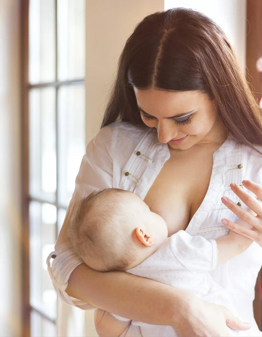 Mother breastfeeding baby indoors near window, nurturing with love and care